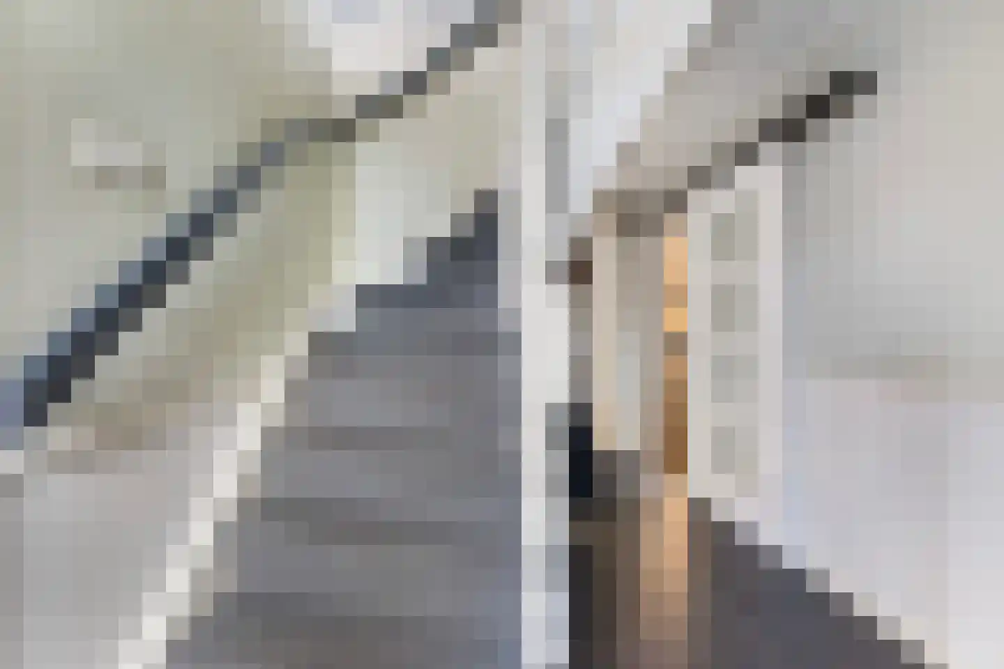 Achterwei 2 Ie thumbnail 34