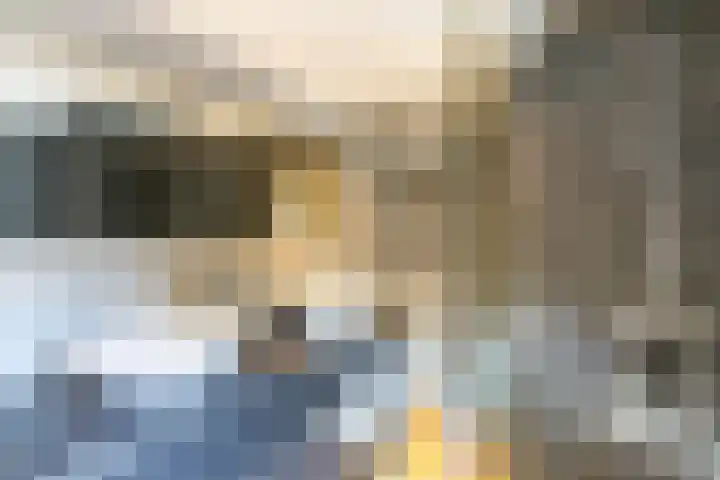 Achterwei 2 Sumar thumbnail 16