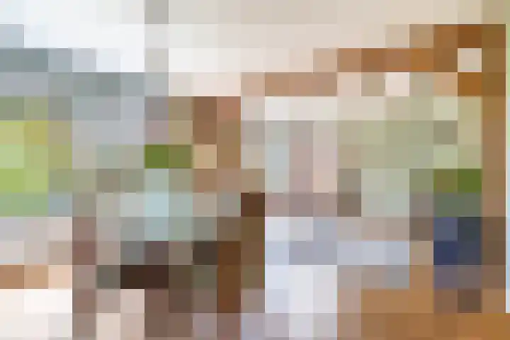 Achterwei 2 Sumar thumbnail 28