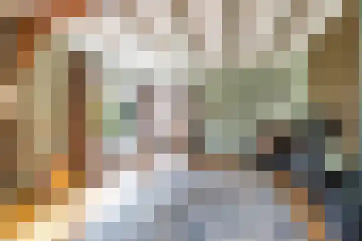 Achterwei 2 Sumar thumbnail 29