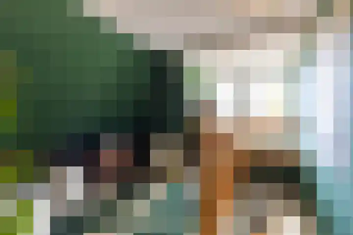 Achterwei 2 Sumar thumbnail 38