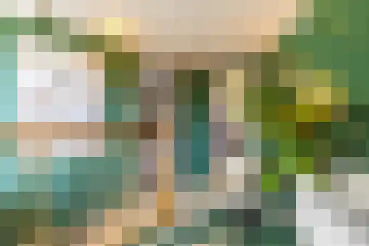 Achterwei 2 Sumar thumbnail 39
