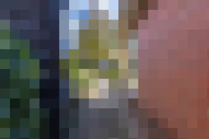 Achterwei 2 Sumar thumbnail 49