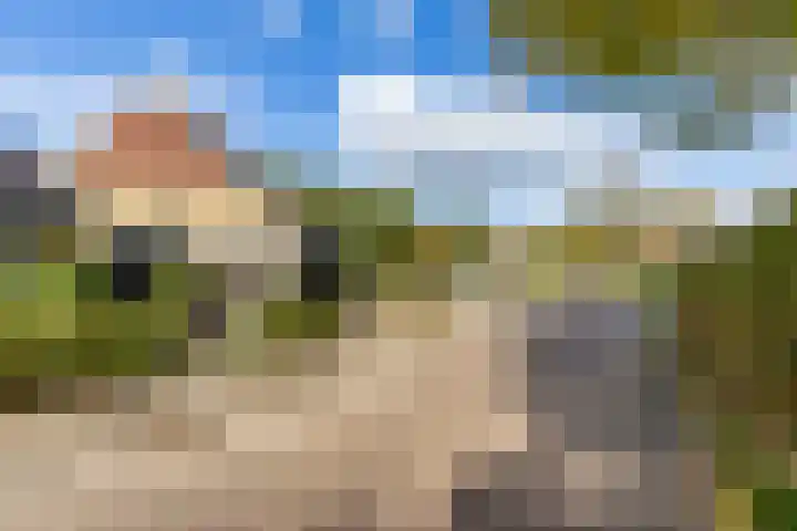 Achterwei 2 Sumar thumbnail 5