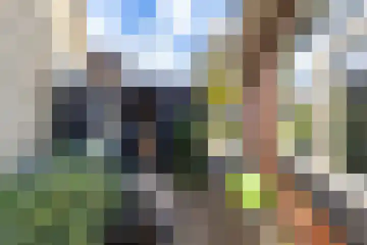 Achterwei 2 Sumar thumbnail 51