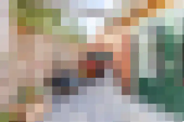 Achterwei 2 Sumar thumbnail 53
