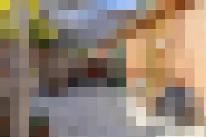 Achterwei 2 Sumar thumbnail 56