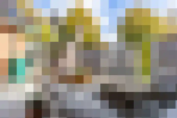 Achterwei 2 Sumar thumbnail 57