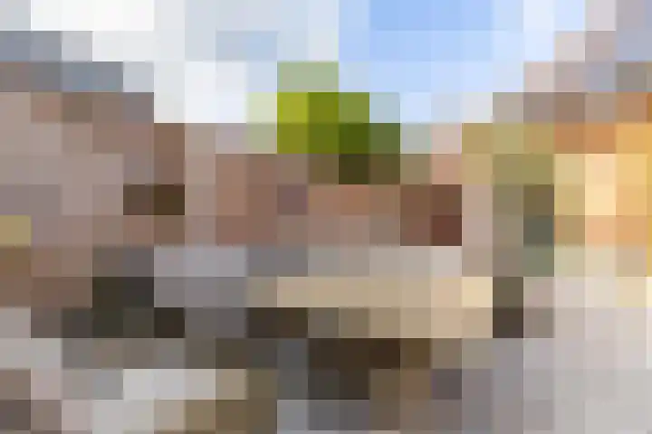 Achterwei 2 Sumar thumbnail 58