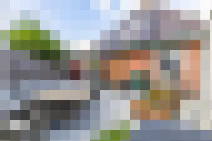 Achterwei 2 Sumar thumbnail 59