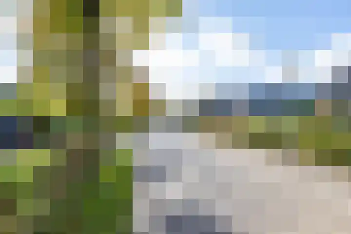 Achterwei 2 Sumar thumbnail 6