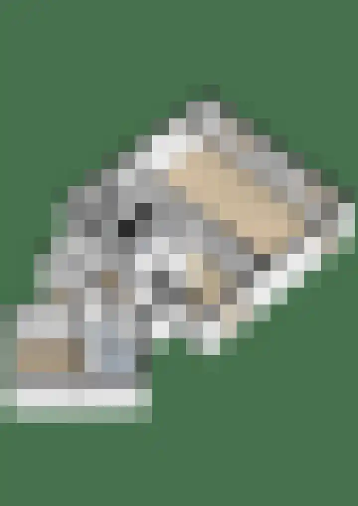 Achterwei 2 Sumar thumbnail 61