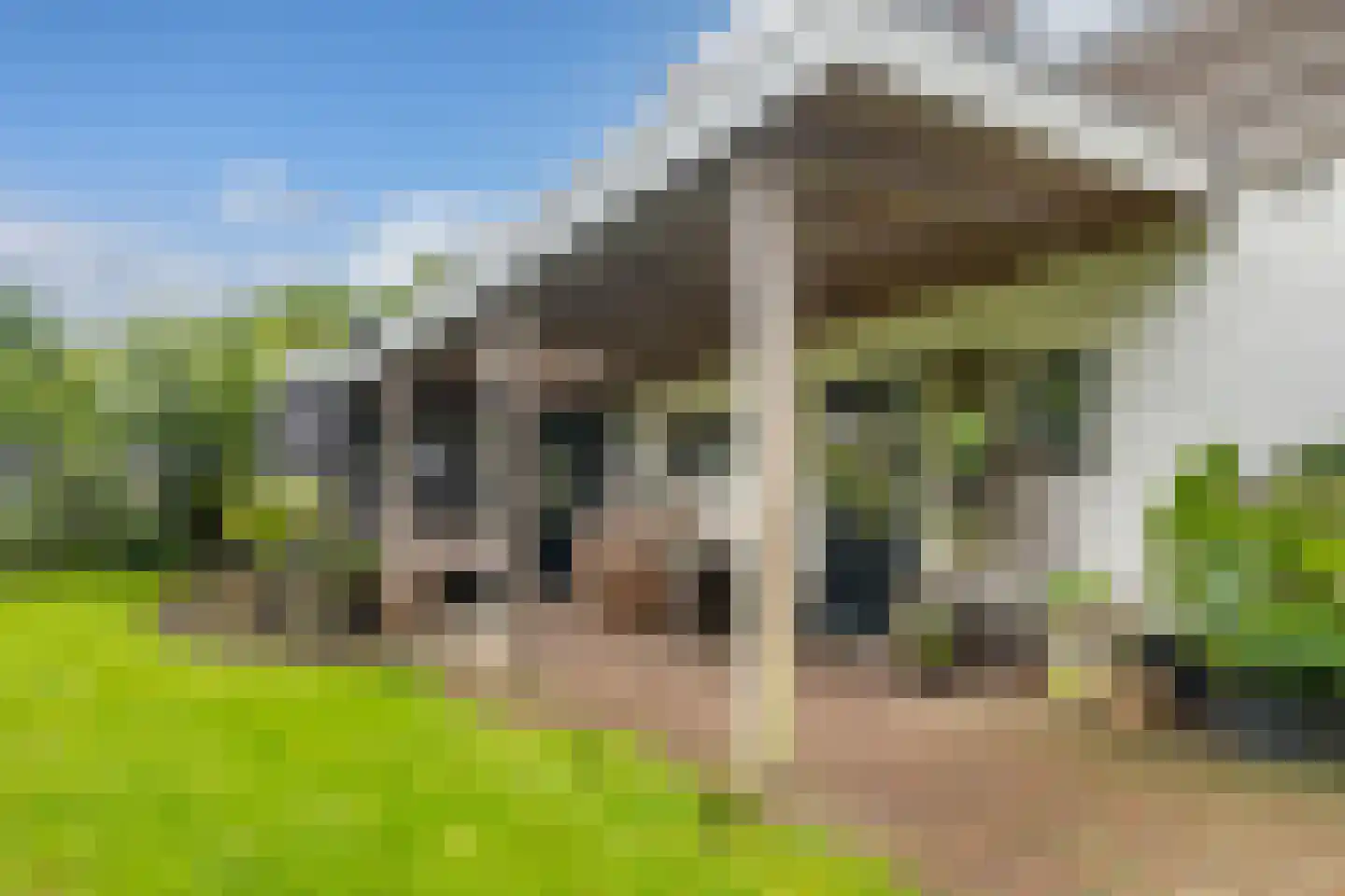 Achterwei 23 Damwâld thumbnail 17