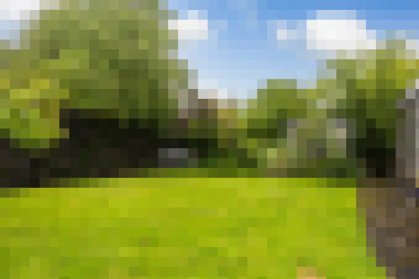 Achterwei 23 Damwâld thumbnail 19