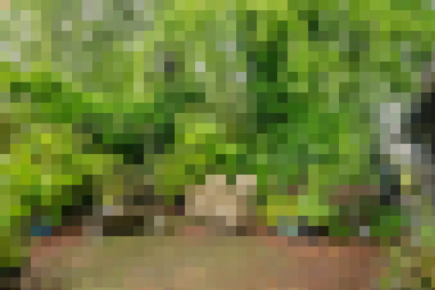 Achterwei 23 Damwâld thumbnail 20