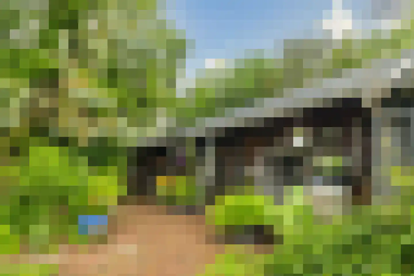 Achterwei 23 Damwâld thumbnail 21