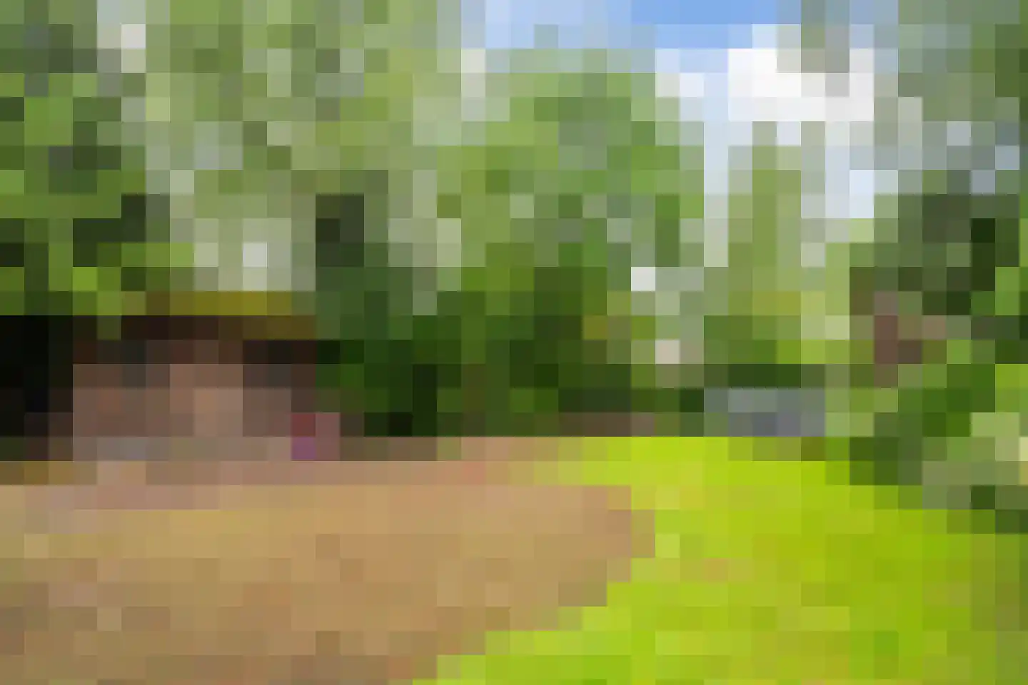 Achterwei 23 Damwâld thumbnail 22