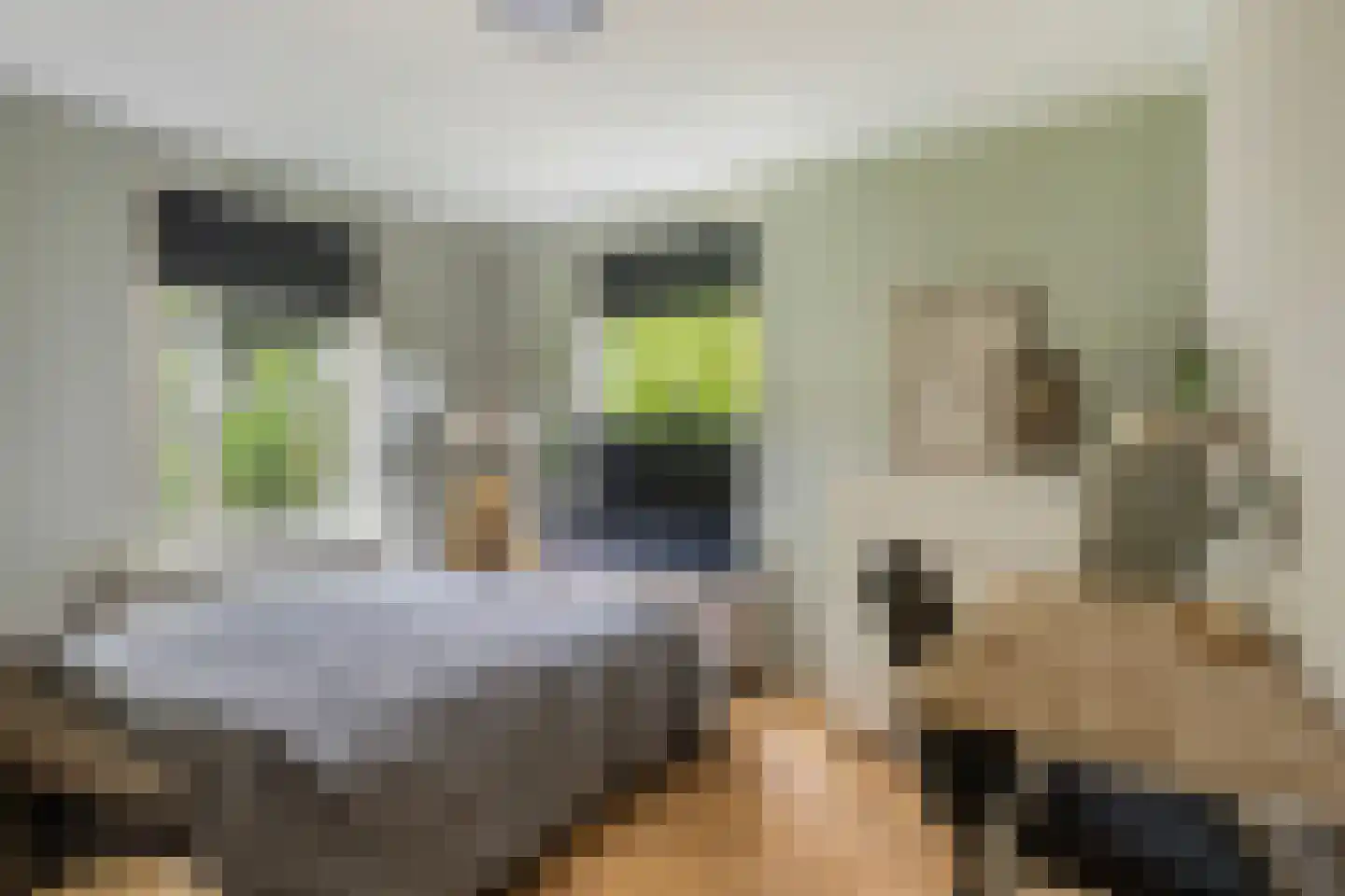 Achterwei 23 Damwâld thumbnail 26