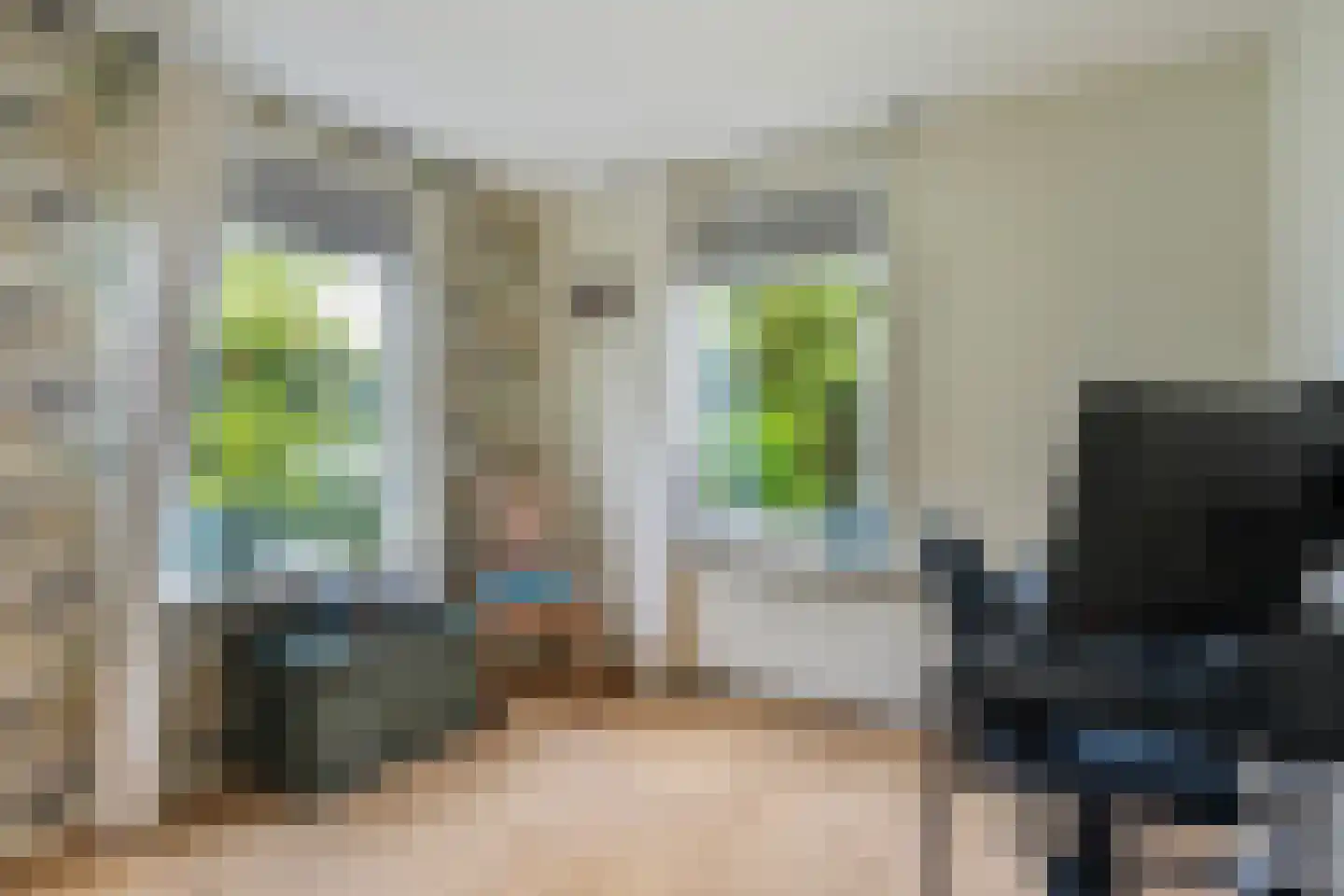 Achterwei 23 Damwâld thumbnail 28
