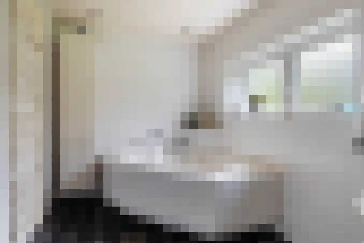 Achterwei 23 Damwâld thumbnail 30