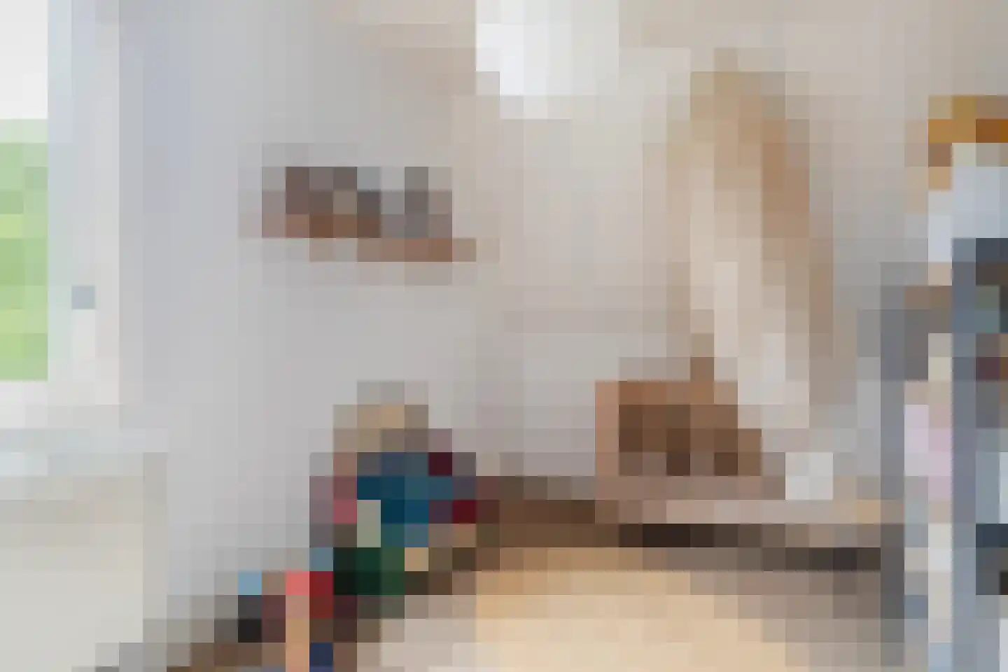 Achterwei 23 Damwâld thumbnail 39