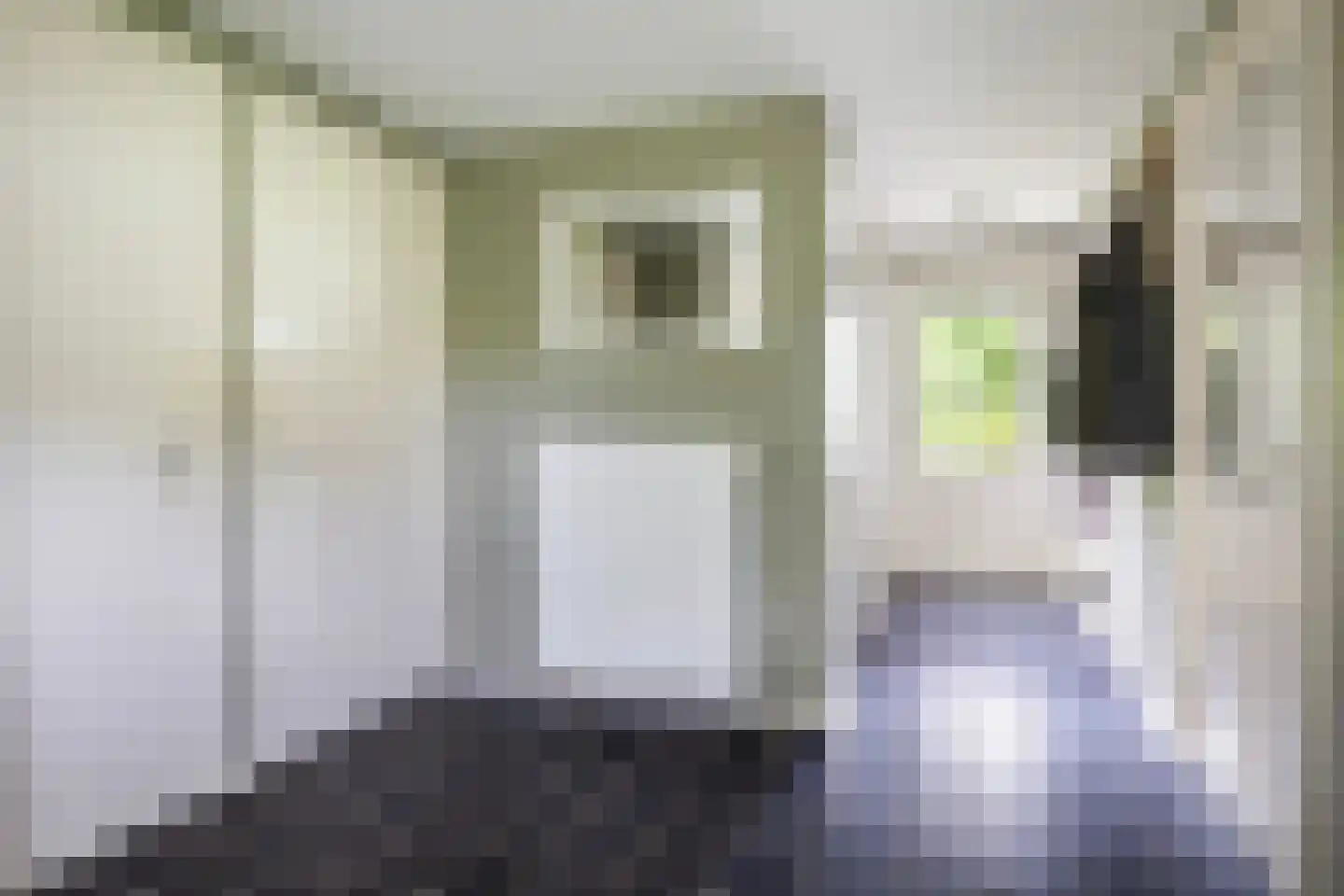 Achterwei 23 Damwâld thumbnail 44