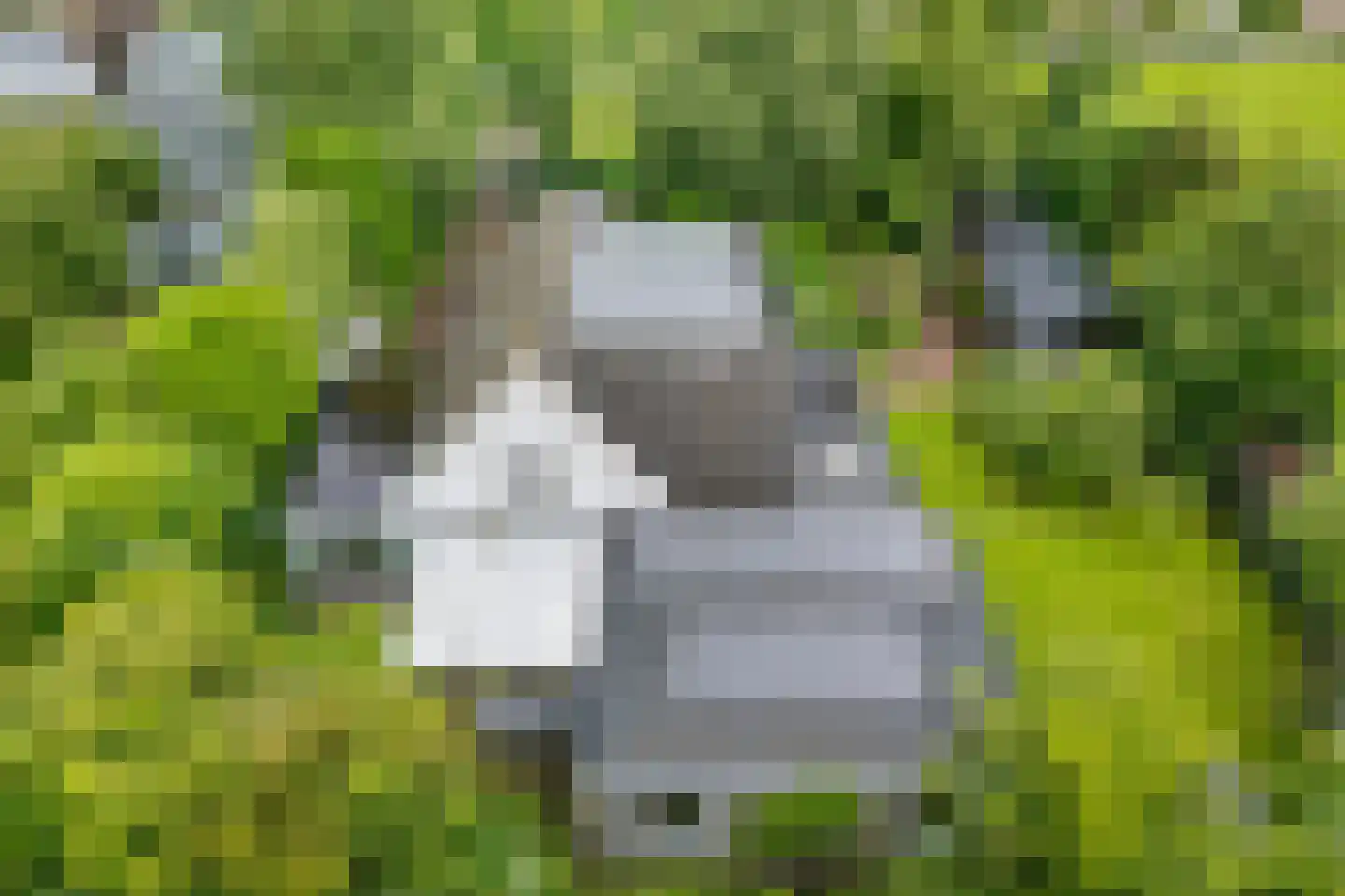 Achterwei 23 Damwâld thumbnail 48