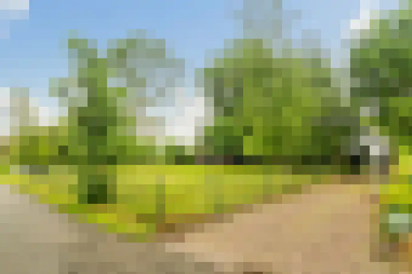 Achterwei 23 Damwâld thumbnail 5