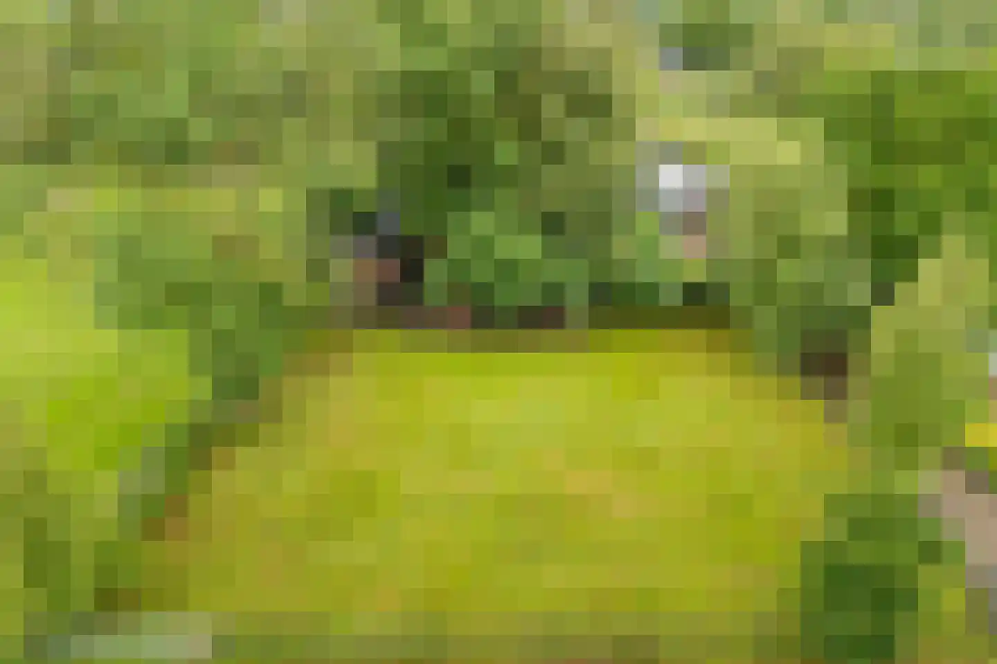 Achterwei 23 Damwâld thumbnail 50