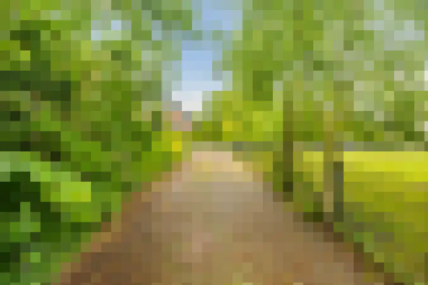 Achterwei 23 Damwâld thumbnail 6