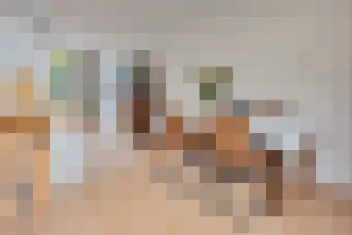 Achterwei 26 Oudega thumbnail 31