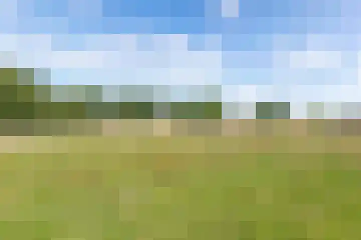 Achterwei 26 Oudega thumbnail 4