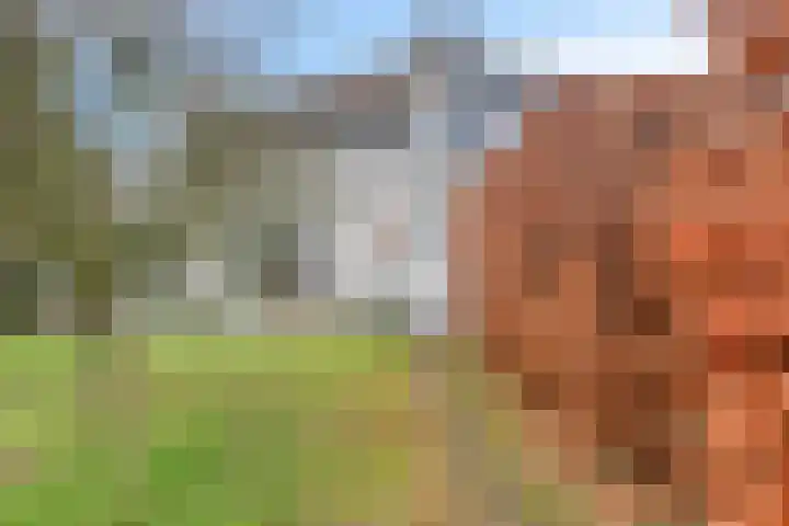 Achterwei 26 Oudega thumbnail 49