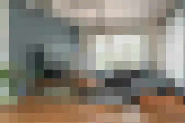 Achterwei 28 Sumar thumbnail 10