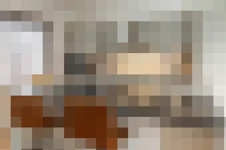 Achterwei 28 Sumar thumbnail 17
