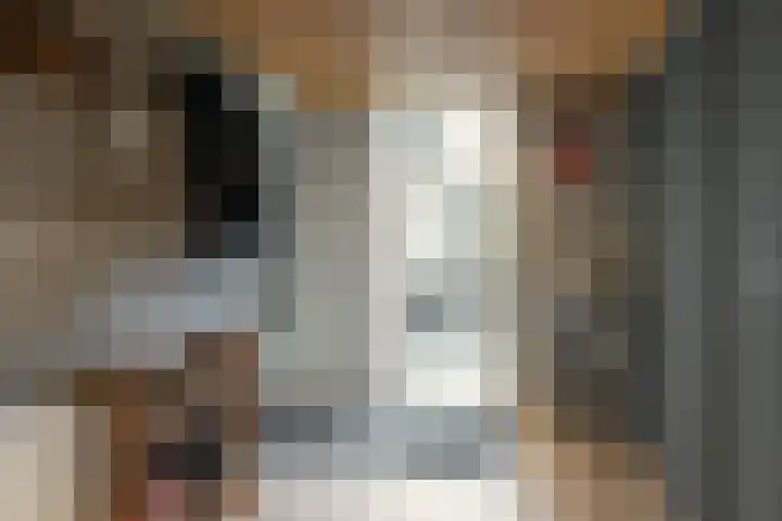 Achterwei 28 Sumar thumbnail 18