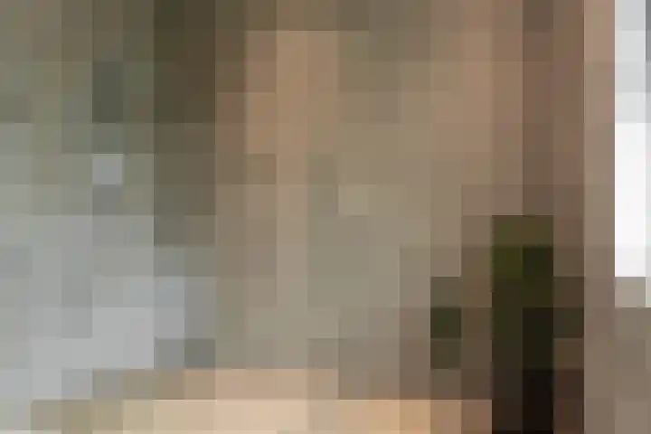 Achterwei 28 Sumar thumbnail 23
