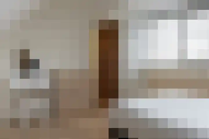Achterwei 28 Sumar thumbnail 28