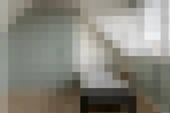 Achterwei 28 Sumar thumbnail 30