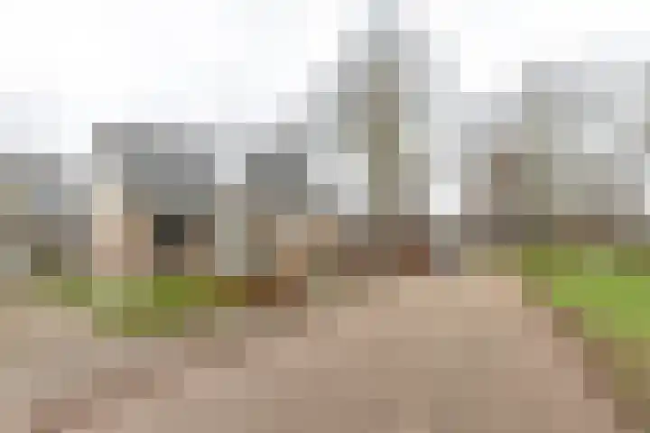 Achterwei 28 Sumar thumbnail 35