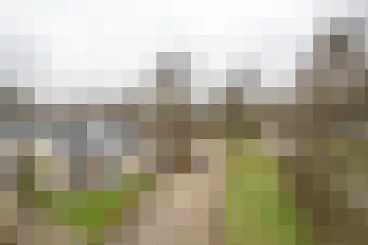 Achterwei 28 Sumar thumbnail 38