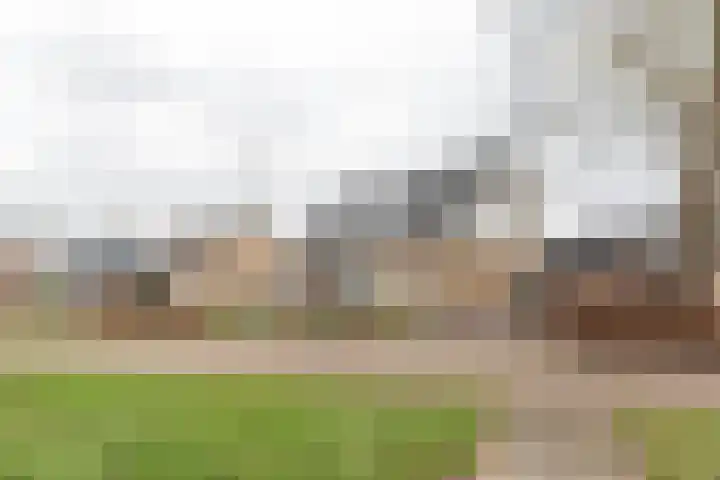 Achterwei 28 Sumar thumbnail 39