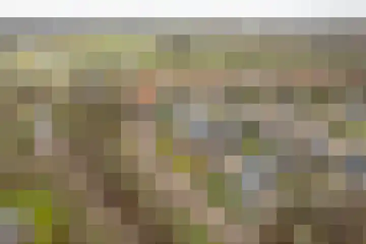 Achterwei 28 Sumar thumbnail 40