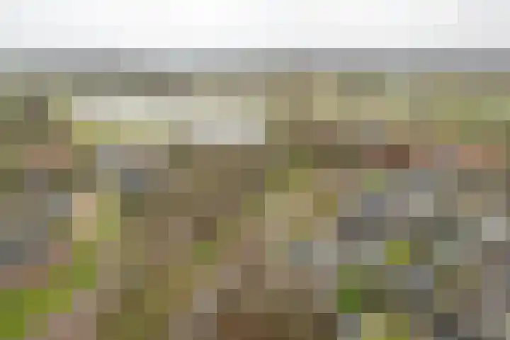 Achterwei 28 Sumar thumbnail 41