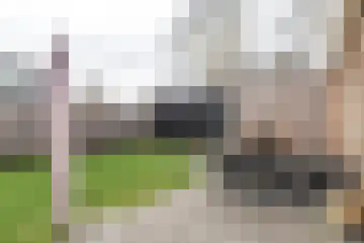 Achterwei 28 Sumar thumbnail 42
