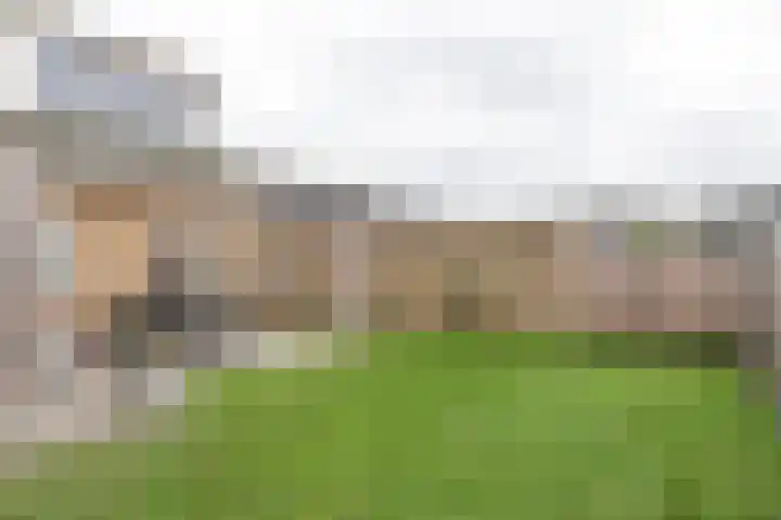 Achterwei 28 Sumar thumbnail 43