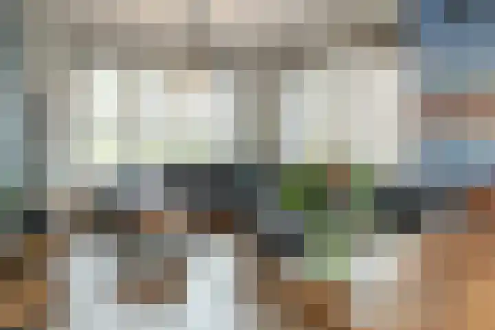 Achterwei 28 Sumar thumbnail 8