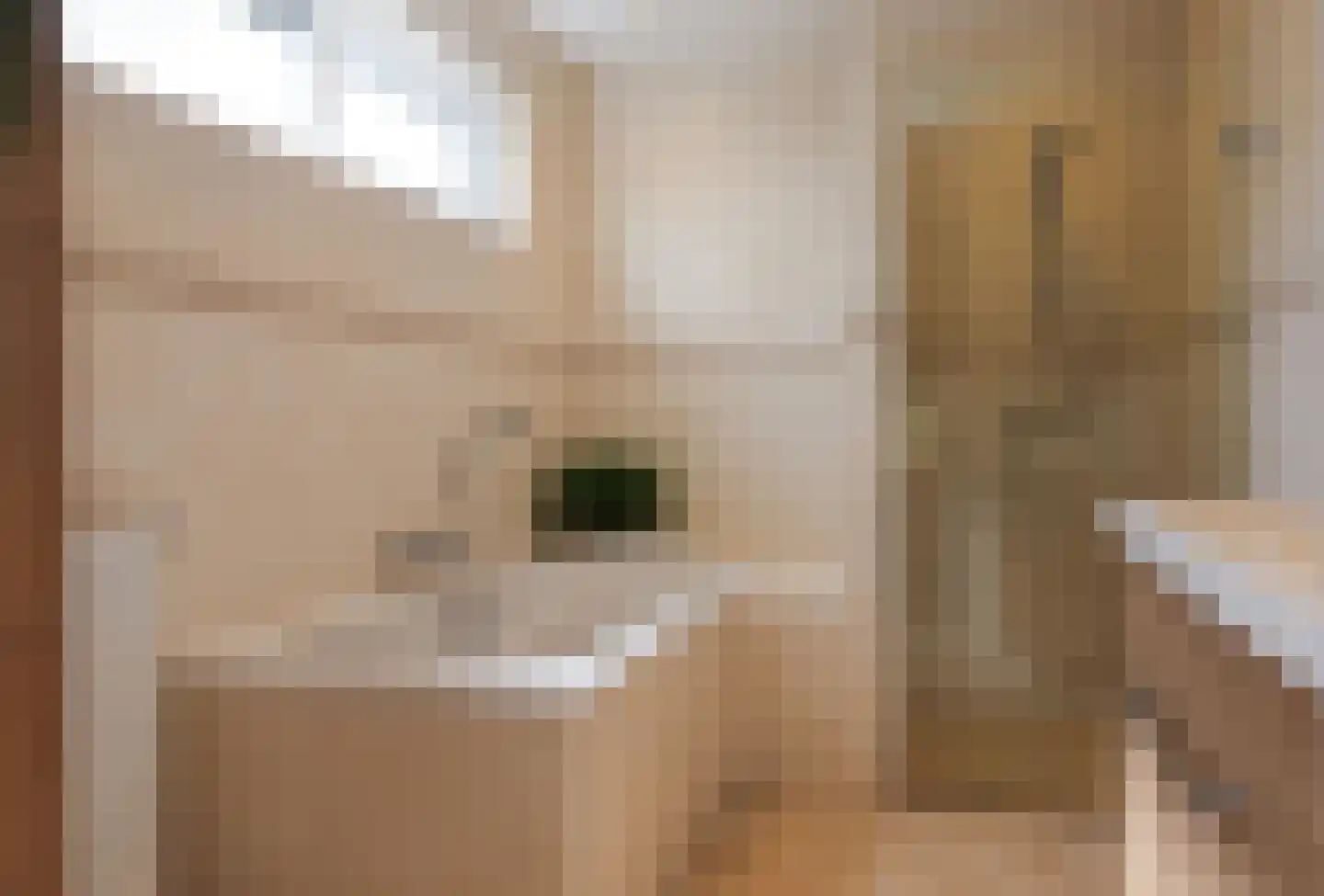 Achterwei 32 Oudega thumbnail 5