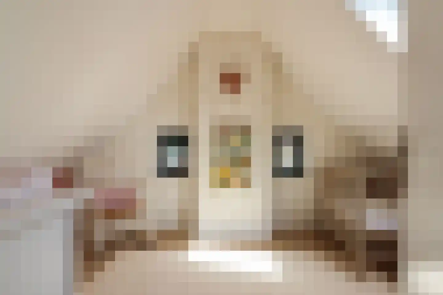 Achterwei 32 Oudega thumbnail 52