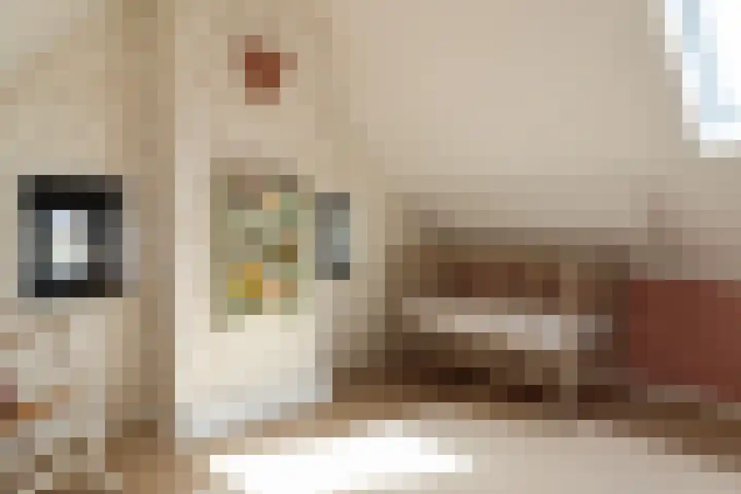 Achterwei 32 Oudega thumbnail 53